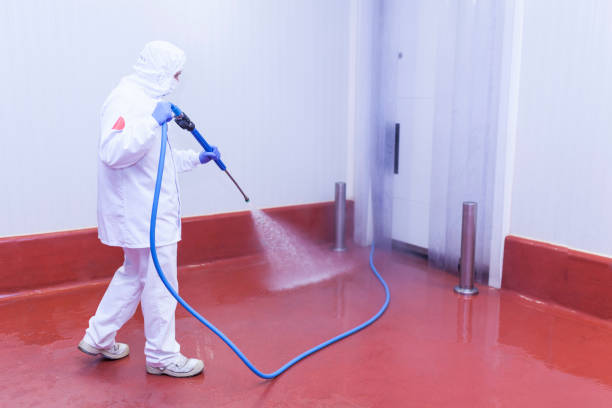 Best House Exterior Washing  in Sioux Center, IA